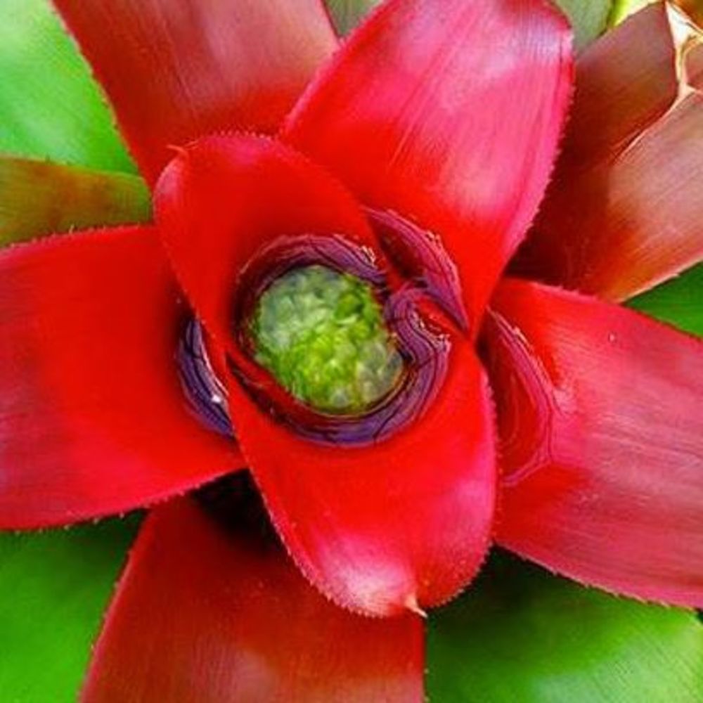 Meet your Posher, Lainie